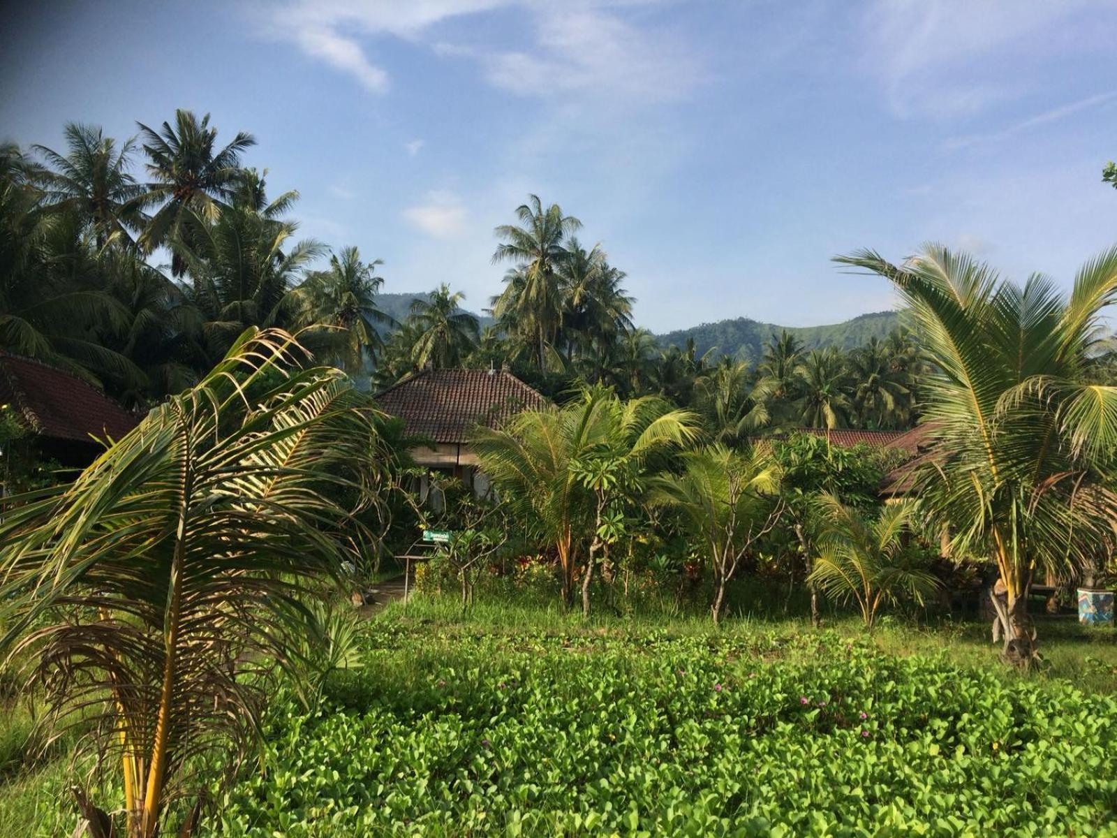 טג'אקולה Bali Segara Lestari Oceanfront Villas מראה חיצוני תמונה