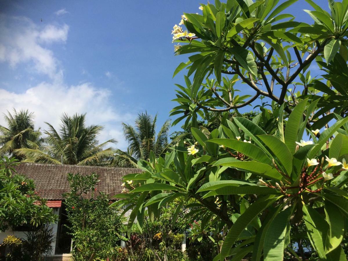 טג'אקולה Bali Segara Lestari Oceanfront Villas מראה חיצוני תמונה