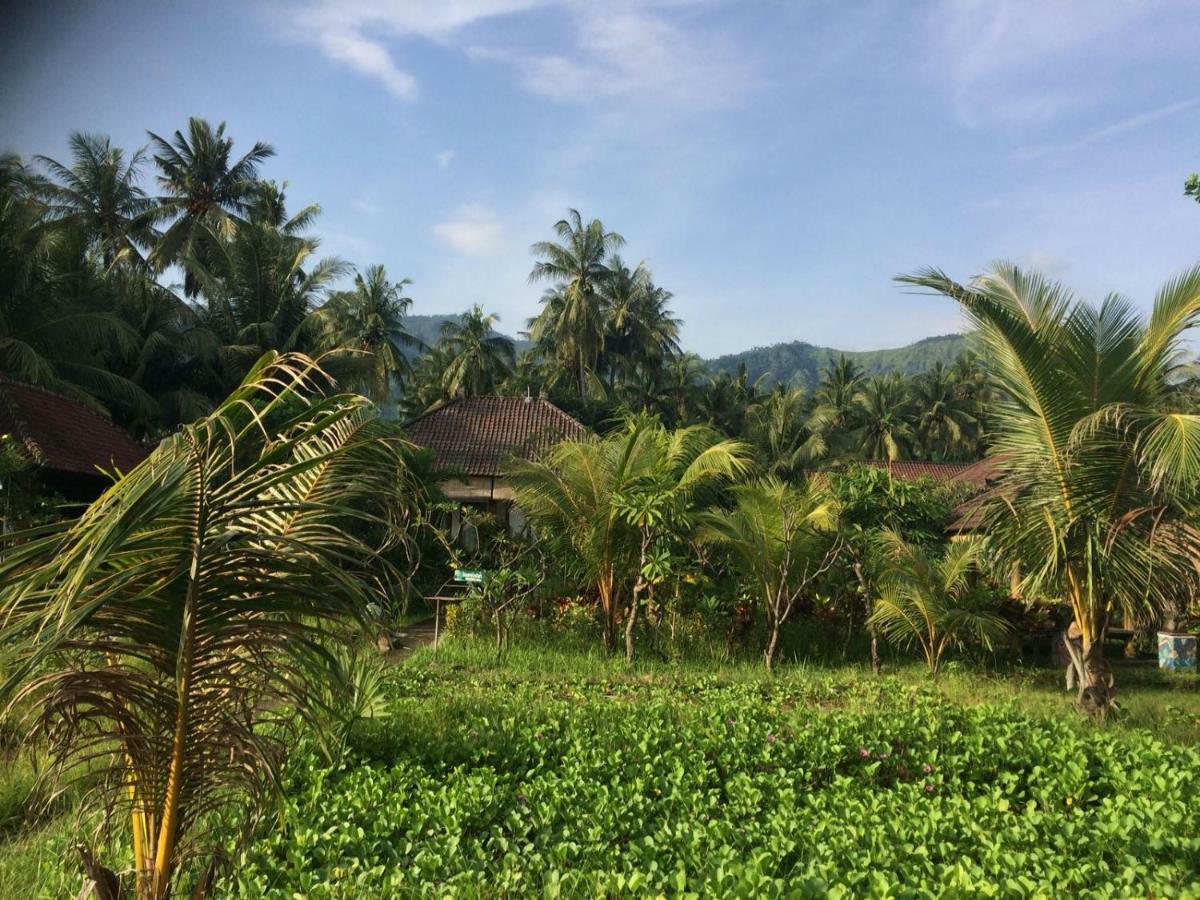 טג'אקולה Bali Segara Lestari Oceanfront Villas מראה חיצוני תמונה